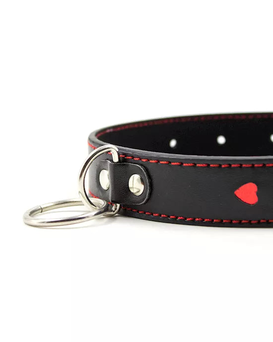 Full Control Collar and Leash